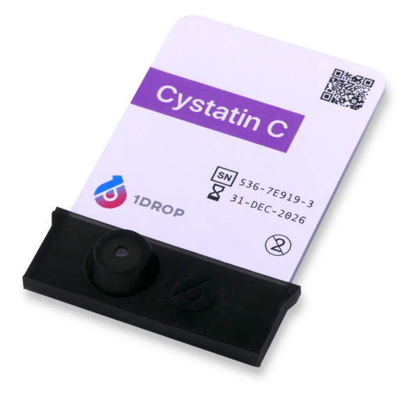 Cystatin C