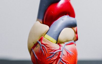 The Clinical Power of NT-proBNP in Managing Heart Failure