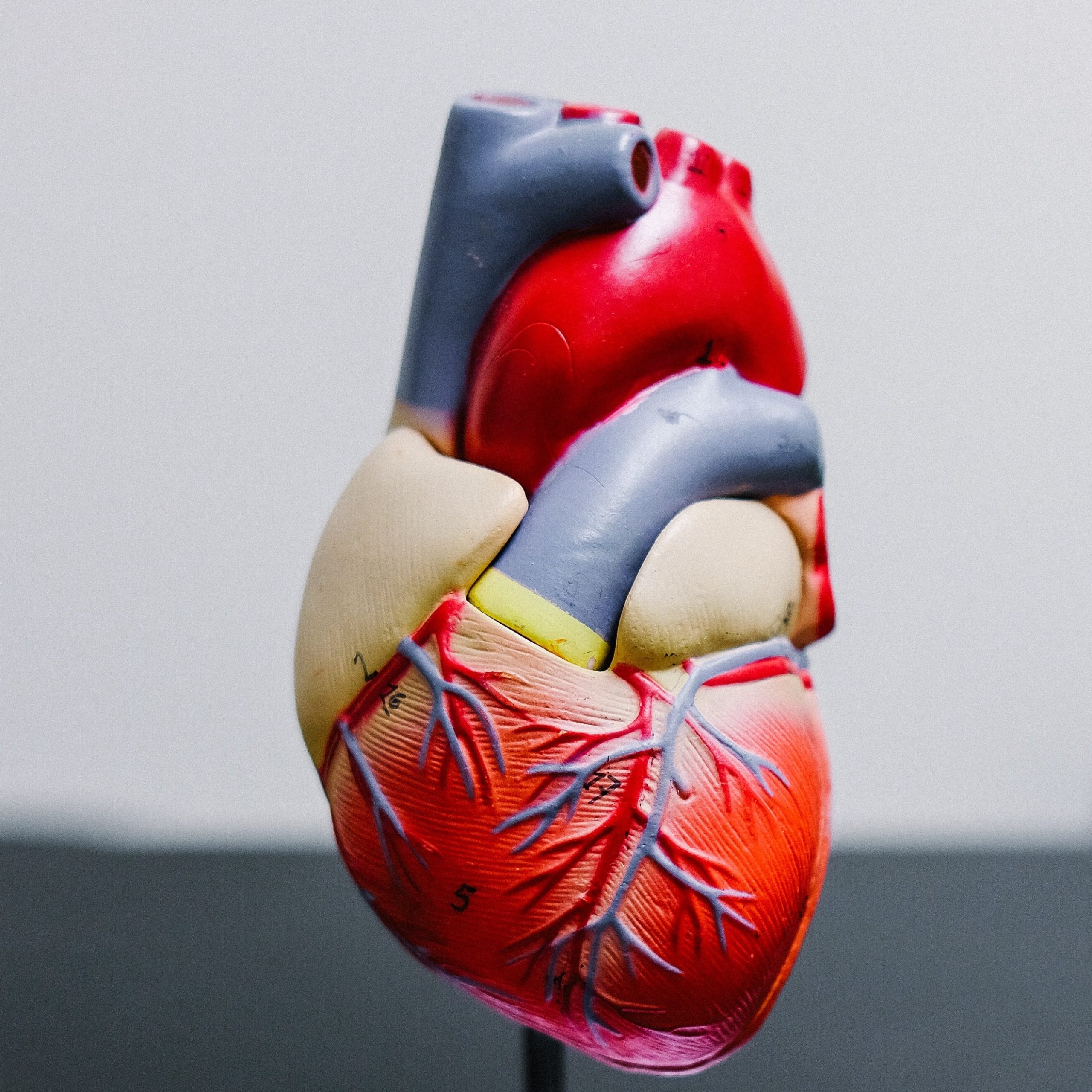 The Clinical Power of NT-proBNP in Managing Heart Failure